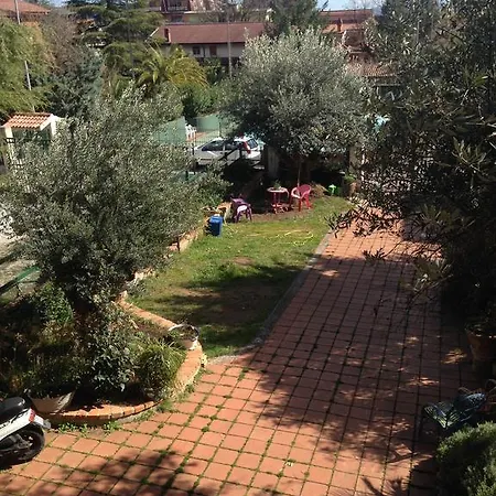 Falcone 3*